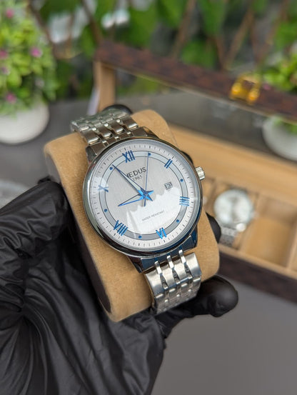 HEDUS Brand Stainless Steel  Waterproof Watch with Skeleton Back & Day-Date Display